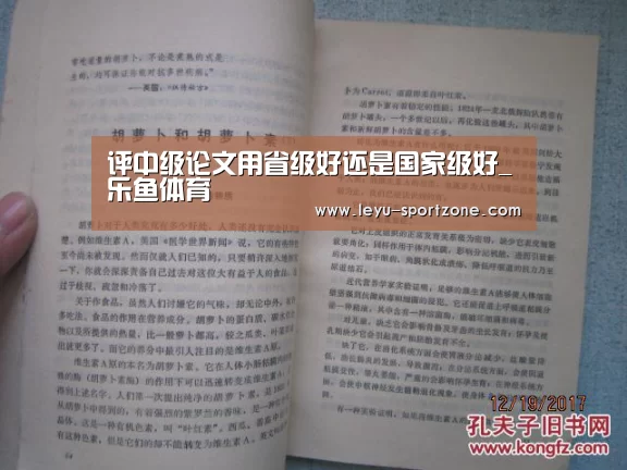 评中级论文用省级好还是国家级好_乐鱼体育(图4) 乐鱼电竞