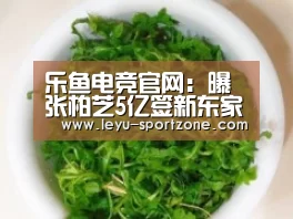 乐鱼电竞平台