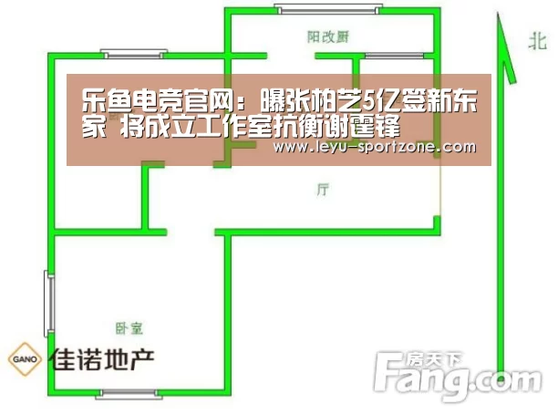 乐鱼电竞平台