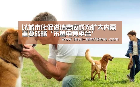 以城市化促进消费应成为扩大内需重要战略‘乐鱼电竞平台’(图2) 乐鱼电竞官网