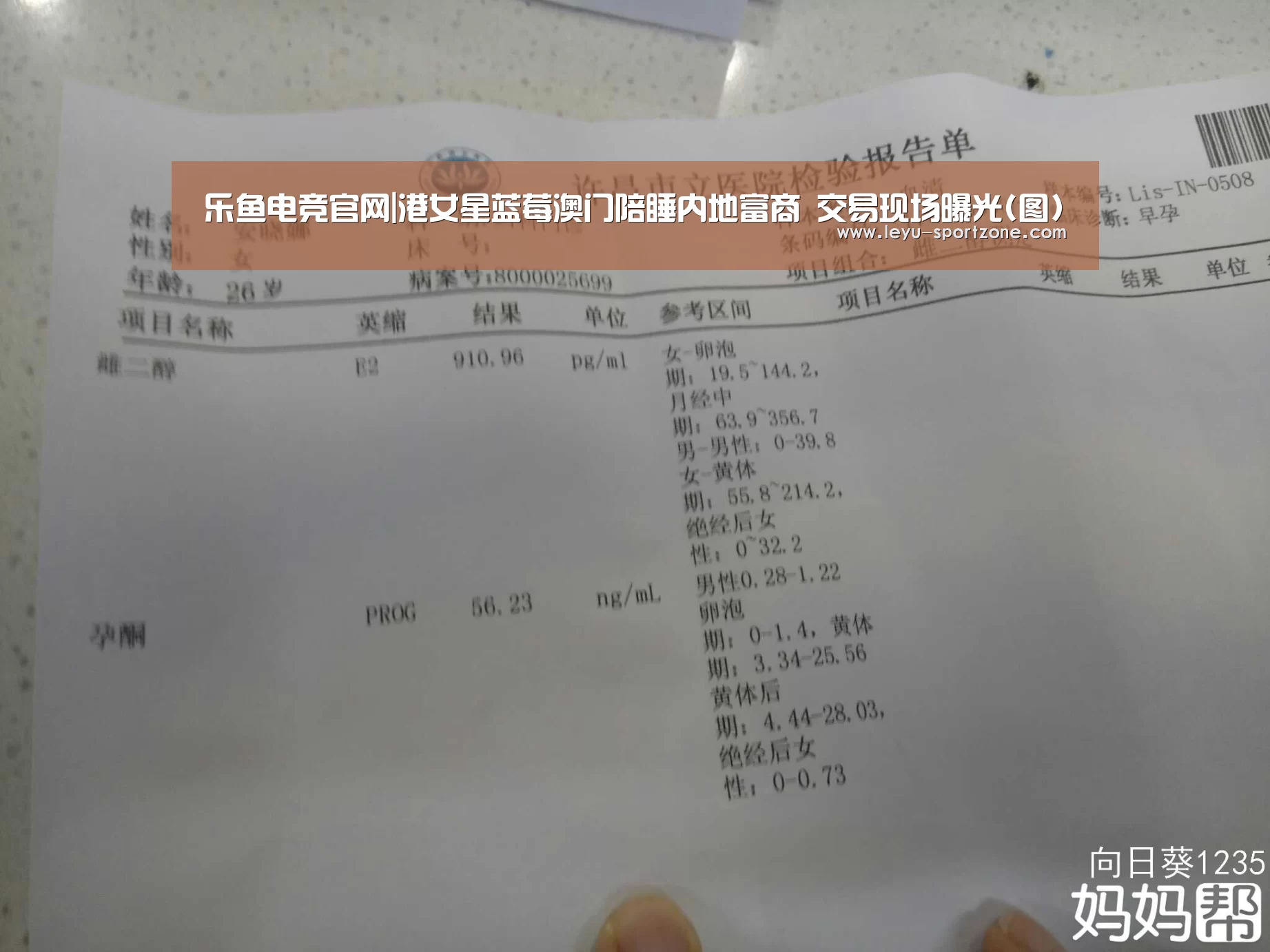 乐鱼电竞官网|港女星蓝莓澳门陪睡内地富商 交易现场曝光(图)(图1) 乐鱼电竞
