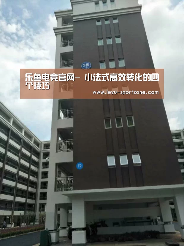 乐鱼电竞官网-
小法式高效转化的四个技巧(图1) 乐鱼电竞