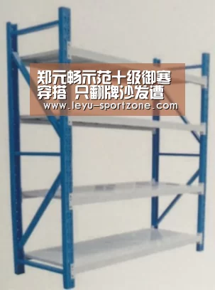 乐鱼电竞官网