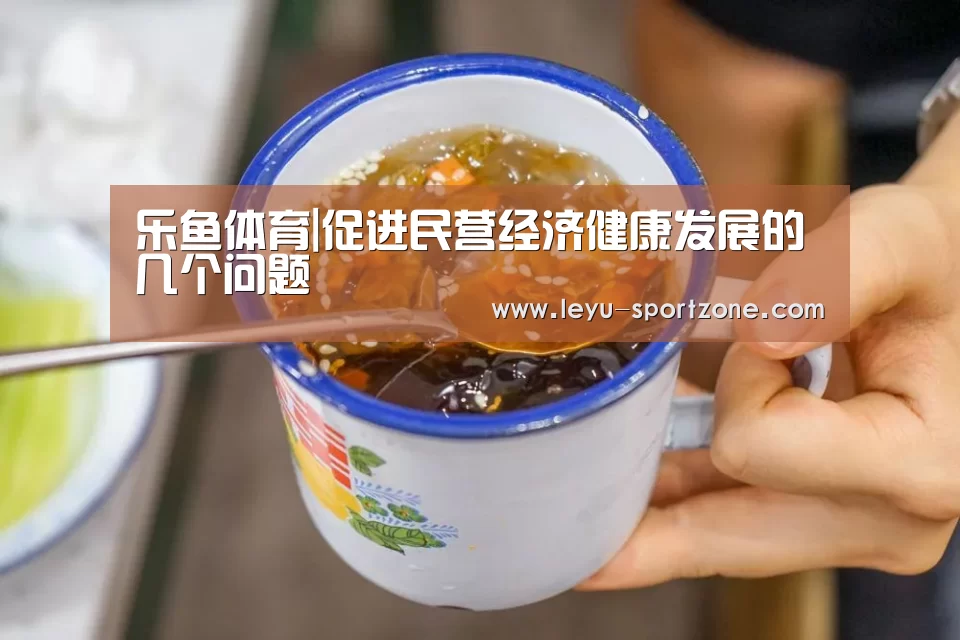 乐鱼体育|促进民营经济健康发展的几个问题(图1) 乐鱼体育