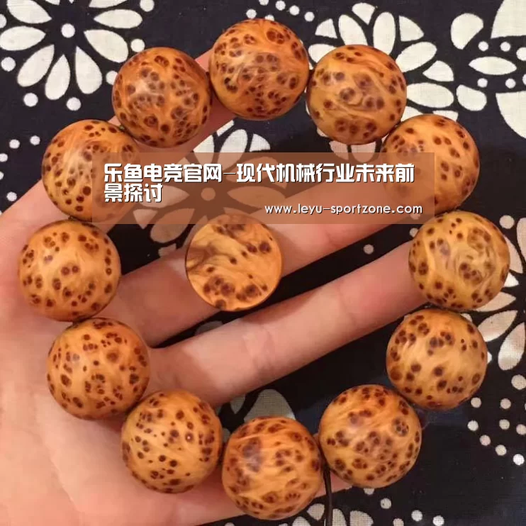 乐鱼电竞官网-现代机械行业未来前景探讨(图1) 乐鱼体育